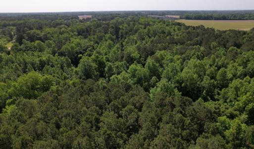 Photo #7 of SOLD property in Off Pleasant Hope Road, Fairmont, NC 5.0 acres