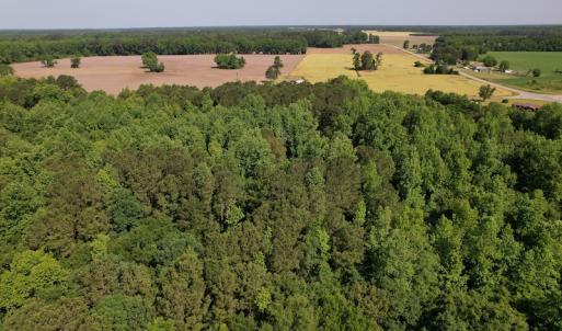 Photo #2 of SOLD property in Off Pleasant Hope Road, Fairmont, NC 5.0 acres