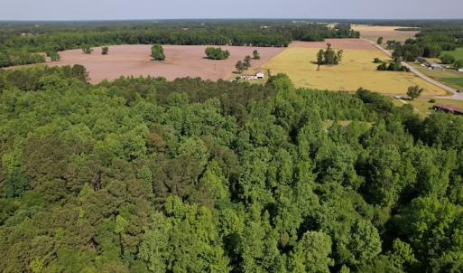 Photo #8 of SOLD property in Off Pleasant Hope Road, Fairmont, NC 5.0 acres