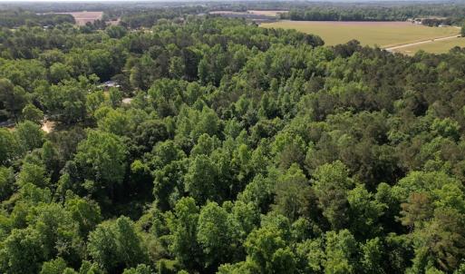 Photo #9 of SOLD property in Off Pleasant Hope Road, Fairmont, NC 5.0 acres