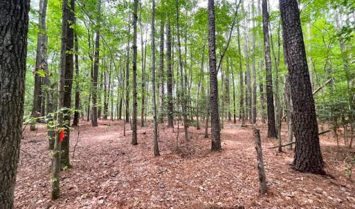 Photo #6 of Off Johnson Lane, Carrollton, VA 0.6 acres