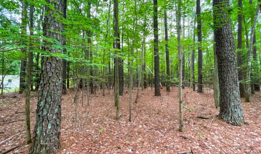 Photo #8 of Off Johnson Lane, Carrollton, VA 0.6 acres