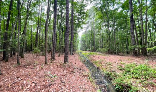 Photo #9 of Off Johnson Lane, Carrollton, VA 0.6 acres