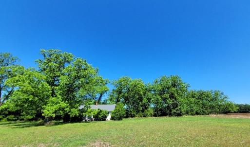 Photo #2 of SOLD property in 1100 Langley Road, Orangeburg, SC 131.2 acres