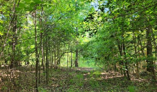 Photo #13 of SOLD property in 1100 Langley Road, Orangeburg, SC 131.2 acres