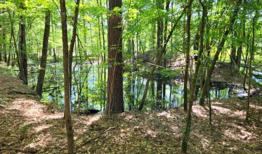 Photo #14 of SOLD property in 1100 Langley Road, Orangeburg, SC 131.2 acres