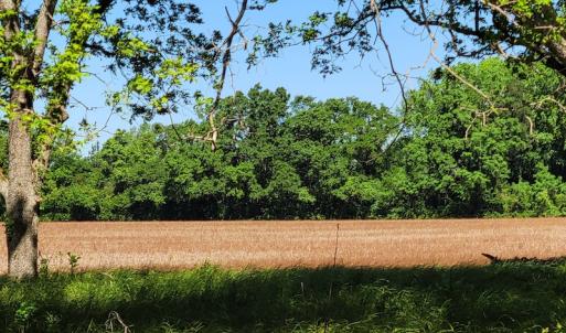 Photo #20 of SOLD property in 1100 Langley Road, Orangeburg, SC 131.2 acres