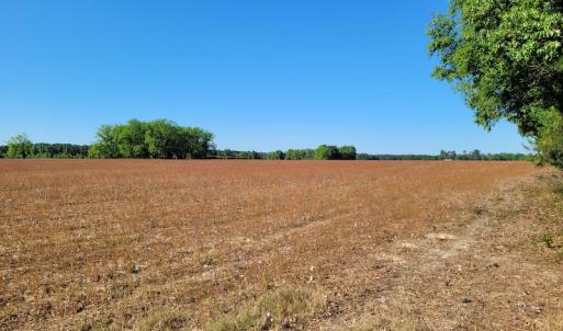 Photo #3 of SOLD property in 1100 Langley Road, Orangeburg, SC 131.2 acres