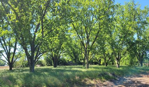 Photo #4 of SOLD property in 1100 Langley Road, Orangeburg, SC 131.2 acres