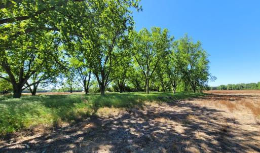 Photo #5 of SOLD property in 1100 Langley Road, Orangeburg, SC 131.2 acres