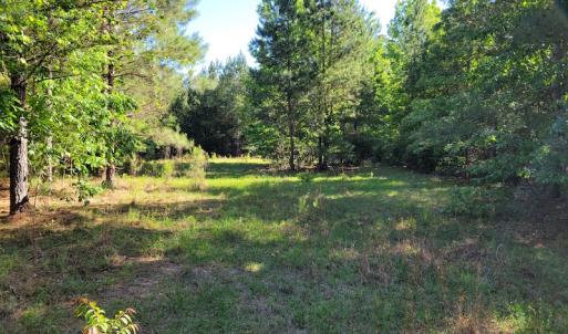 Photo #8 of SOLD property in 1100 Langley Road, Orangeburg, SC 131.2 acres