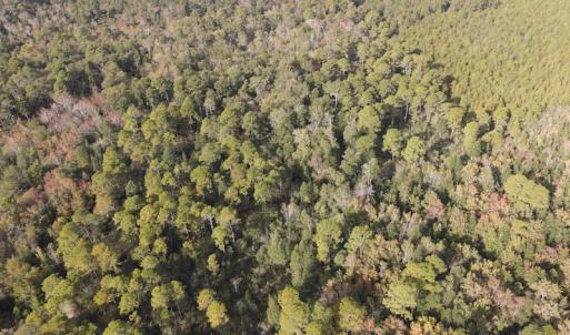 Photo #18 of SOLD property in Off Delway Highway, Rose Hill, NC 40.0 acres