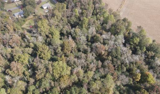 Photo #19 of SOLD property in Off Delway Highway, Rose Hill, NC 40.0 acres
