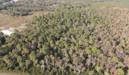 Photo #20 of SOLD property in Off Delway Highway, Rose Hill, NC 40.0 acres
