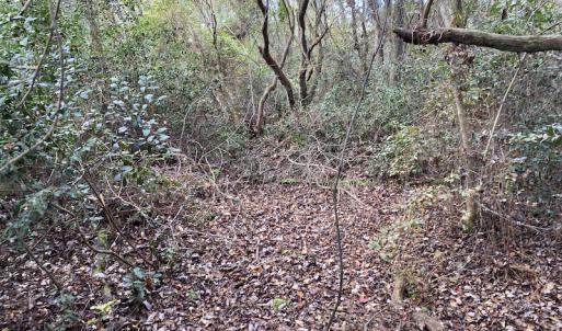 Photo #23 of SOLD property in Off Delway Highway, Rose Hill, NC 40.0 acres