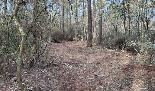 Photo #24 of SOLD property in Off Delway Highway, Rose Hill, NC 40.0 acres