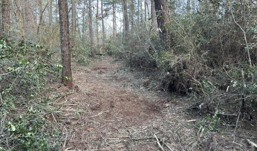 Photo #25 of SOLD property in Off Delway Highway, Rose Hill, NC 40.0 acres