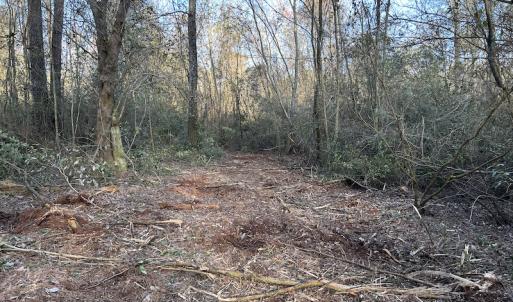 Photo #26 of SOLD property in Off Delway Highway, Rose Hill, NC 40.0 acres