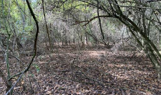 Photo #27 of SOLD property in Off Delway Highway, Rose Hill, NC 40.0 acres