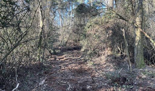 Photo #28 of SOLD property in Off Delway Highway, Rose Hill, NC 40.0 acres