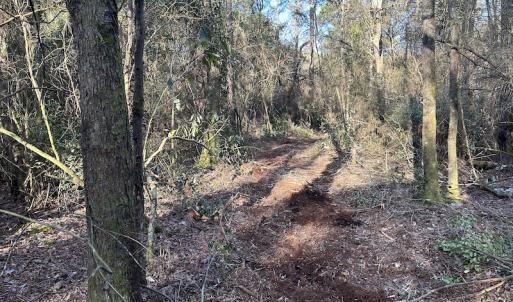 Photo #29 of SOLD property in Off Delway Highway, Rose Hill, NC 40.0 acres