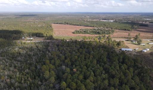 Photo #4 of SOLD property in Off Delway Highway, Rose Hill, NC 40.0 acres