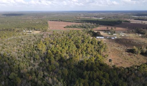 Photo #5 of SOLD property in Off Delway Highway, Rose Hill, NC 40.0 acres