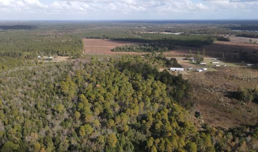 Photo #6 of SOLD property in Off Delway Highway, Rose Hill, NC 40.0 acres