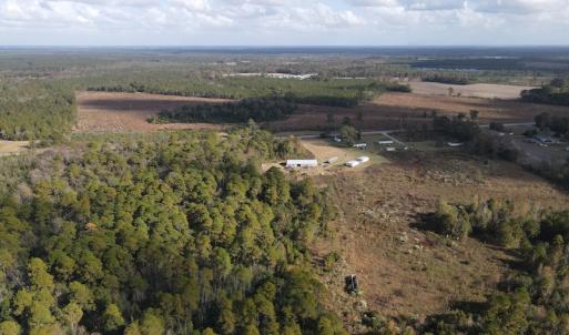 Photo #7 of SOLD property in Off Delway Highway, Rose Hill, NC 40.0 acres