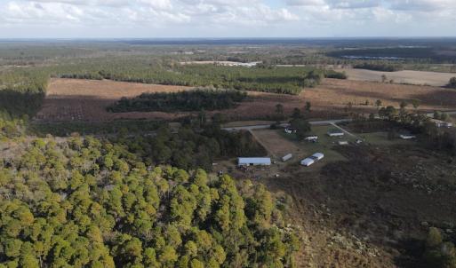 Photo #8 of SOLD property in Off Delway Highway, Rose Hill, NC 40.0 acres