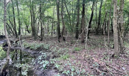 Photo #12 of Off Hwy 123 North, Hookerton, NC 36.0 acres