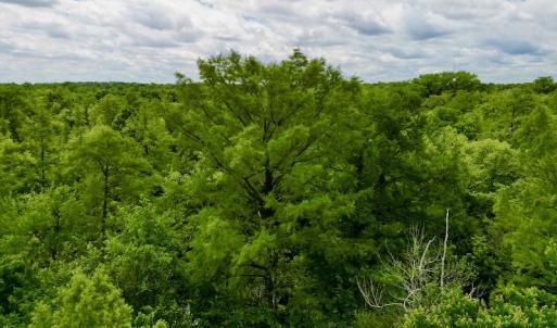 Photo #20 of SOLD property in Off Hwy 123 North, Hookerton, NC 36.0 acres