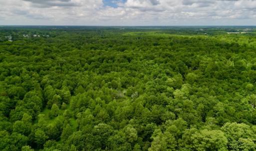 Photo #8 of SOLD property in Off Hwy 123 North, Hookerton, NC 36.0 acres