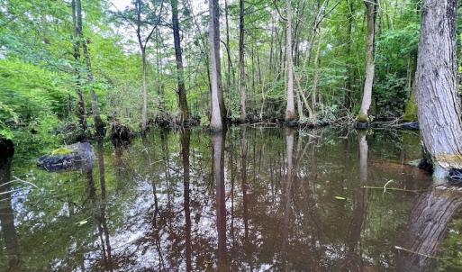 Photo #9 of Off Hwy 123 North, Hookerton, NC 36.0 acres