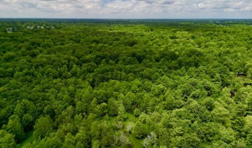 Photo #10 of Off Hwy 123 North, Hookerton, NC 36.0 acres