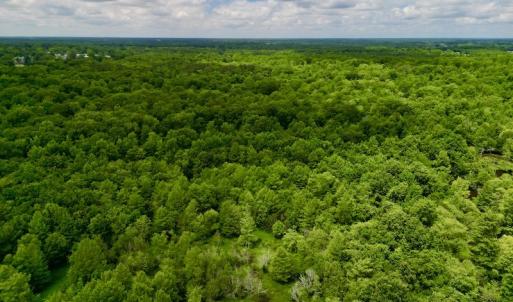 Photo #10 of Off Hwy 123 North, Hookerton, NC 36.0 acres