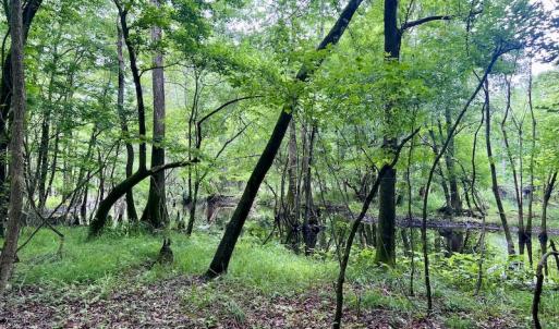 Photo #22 of Off Hwy 123 North, Hookerton, NC 36.0 acres