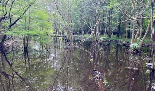 Photo #25 of SOLD property in Off Hwy 123 North, Hookerton, NC 36.0 acres