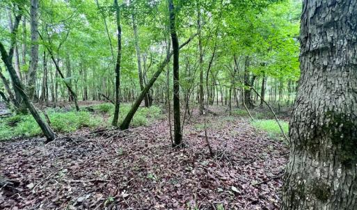 Photo #28 of SOLD property in Off Hwy 123 North, Hookerton, NC 36.0 acres