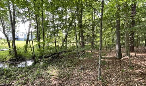 Photo #10 of Off Pine Rd, Quinton, VA 0.2 acres