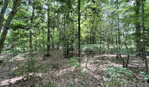 Photo #6 of Off Pine Rd, Quinton, VA 0.2 acres