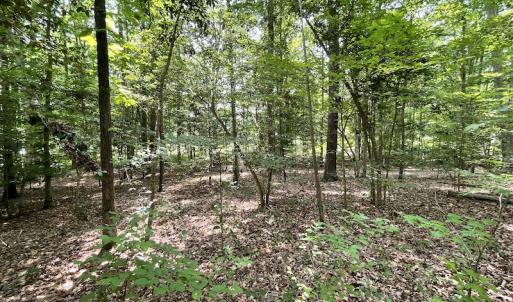 Photo #7 of Off Pine Rd, Quinton, VA 0.2 acres