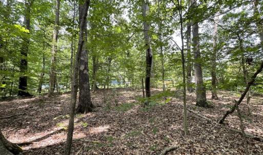 Photo #8 of Off Pine Rd, Quinton, VA 0.2 acres