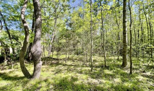 Photo #11 of SOLD property in Off Boseman Road , Rocky Mount, NC 16.6 acres