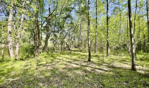 Photo #12 of SOLD property in Off Boseman Road , Rocky Mount, NC 16.6 acres