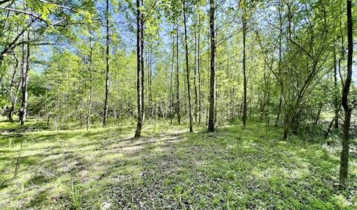 Photo #13 of SOLD property in Off Boseman Road , Rocky Mount, NC 16.6 acres