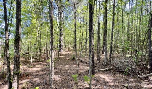 Photo #15 of SOLD property in Off Boseman Road , Rocky Mount, NC 16.6 acres