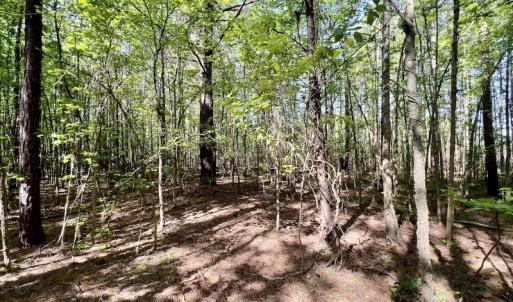 Photo #16 of SOLD property in Off Boseman Road , Rocky Mount, NC 16.6 acres