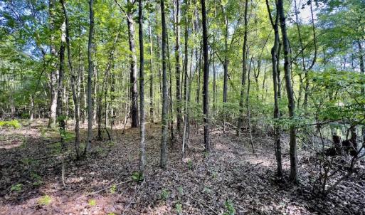 Photo #20 of SOLD property in Off Boseman Road , Rocky Mount, NC 16.6 acres