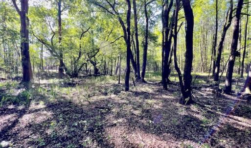 Photo #8 of SOLD property in Off Boseman Road , Rocky Mount, NC 16.6 acres